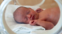Premature newborn baby in the hospital incubator