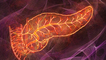 Human pancreas, abstract illustration