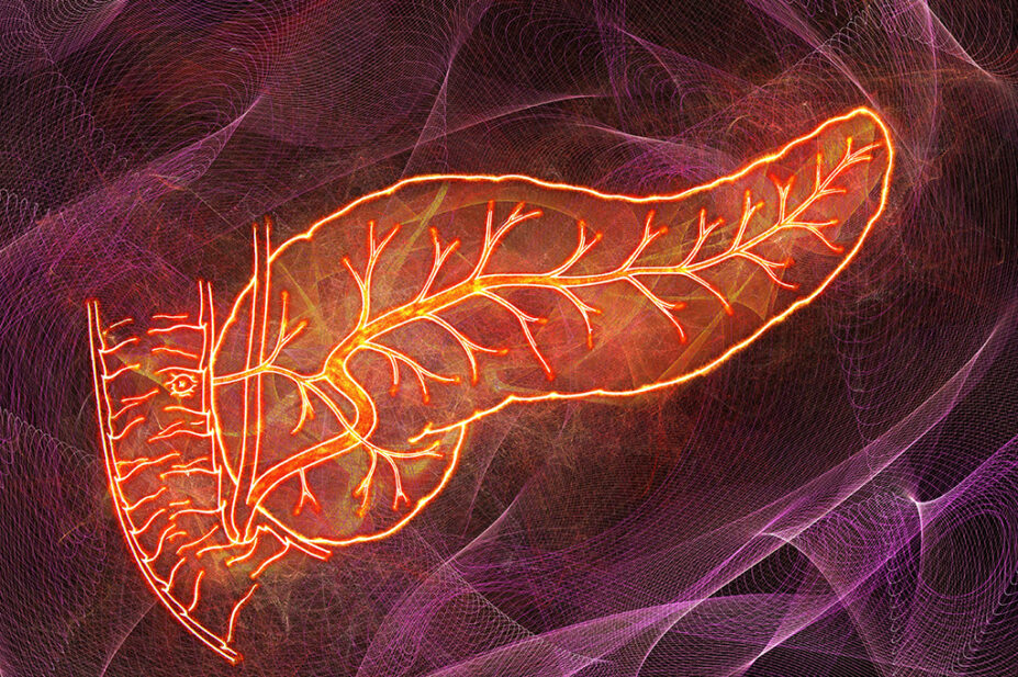 Human pancreas, abstract illustration