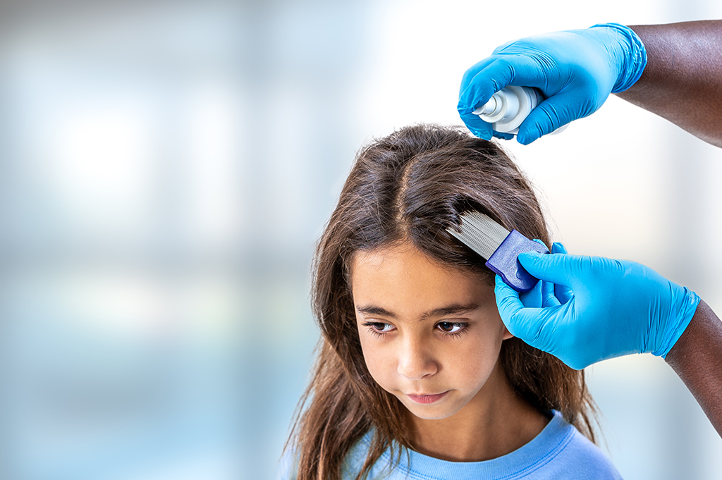 Parent treating young girl for head lice
