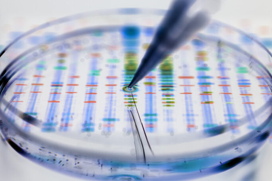 Conceptual genetic research image – pipette adding a sample to a petri dish with a DNA