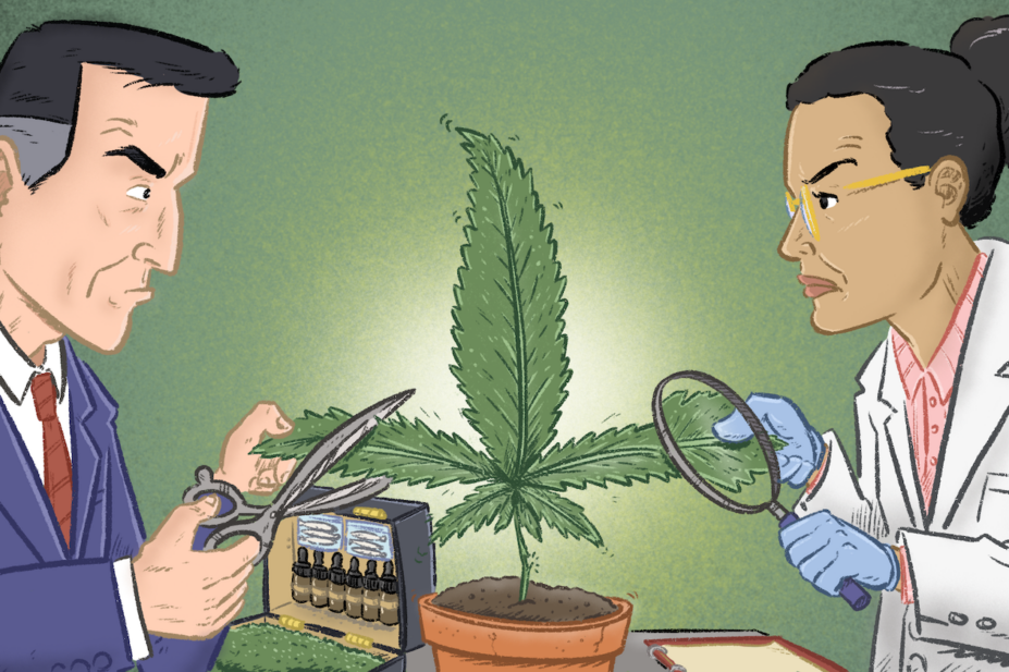 Illustration of a business man with a suitcase full of commercial cannabis drugs and a research scientist fighting over a cannabis leaf.