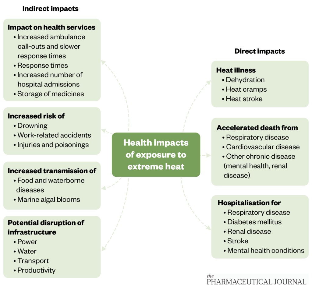 Diagram of the direct and indirect health impacts of extreme heat.