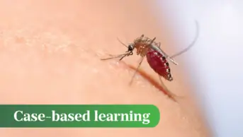 Mosquito biting skin