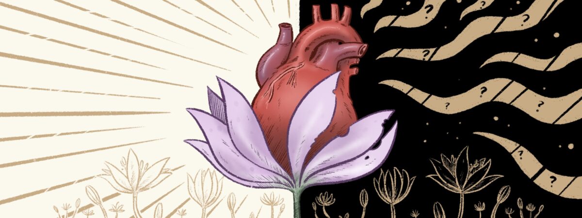 Illustration of an autumn crocus (Colchicum autumnale) on light and dark background, with an anatomical heart in the centre.