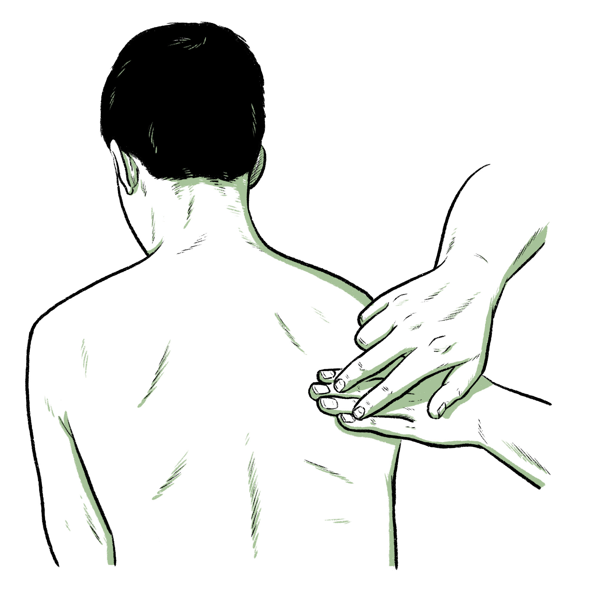 Illustration showing a person using percussion technique on the back of a patient