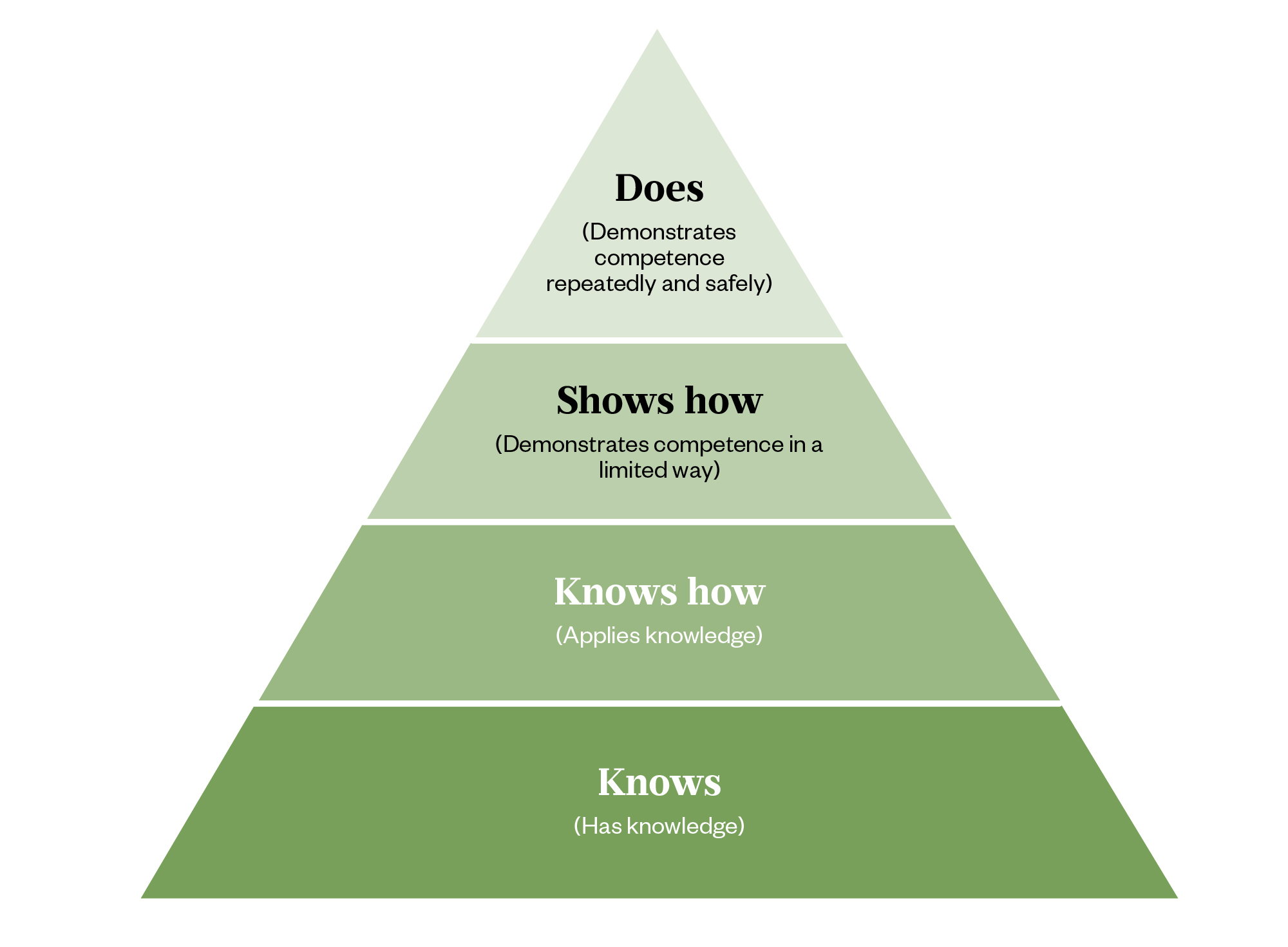 Diagram of Miller’s Triangle of clinical competence