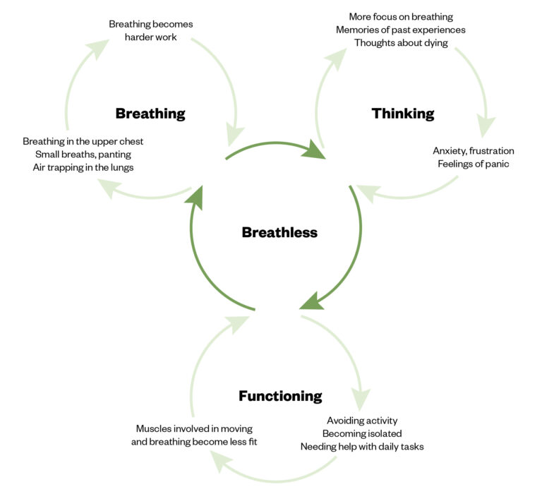 Case-based learning: chronic breathlessness in adults - The ...