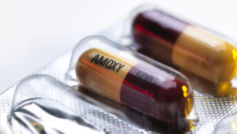 Amoxicillin antibiotic drug capsules