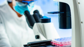 Stem cell research in a laboratory