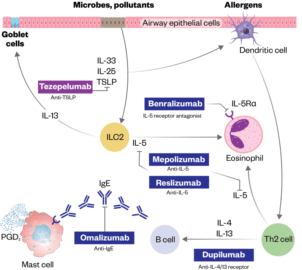 Improving the management of uncontrolled asthma for adults in England ...