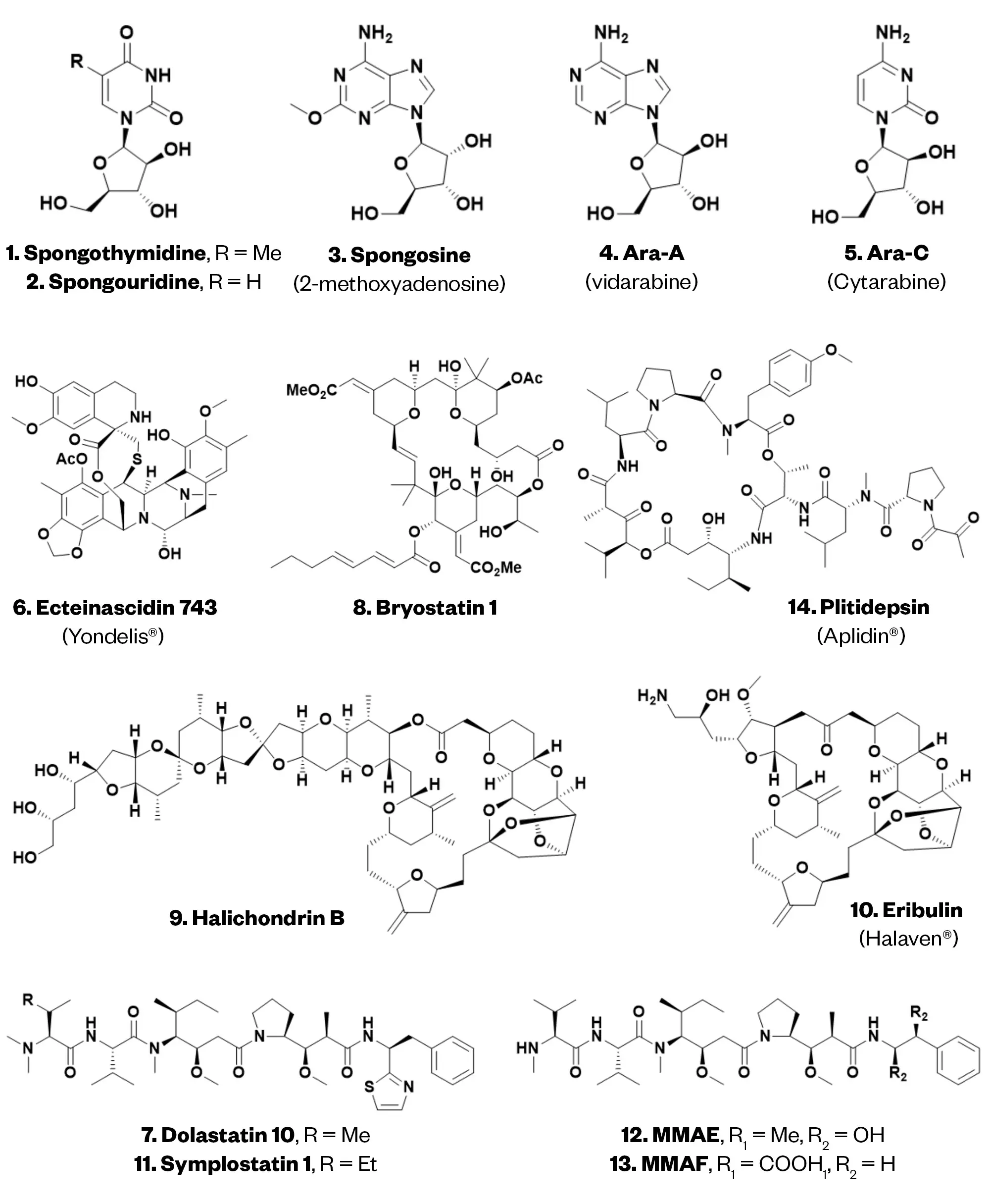 Skeletal structures of marine natural products diagram