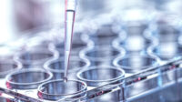 Pharmacy research concept - showing someone pipetting into a multi-well plate in a laboratory