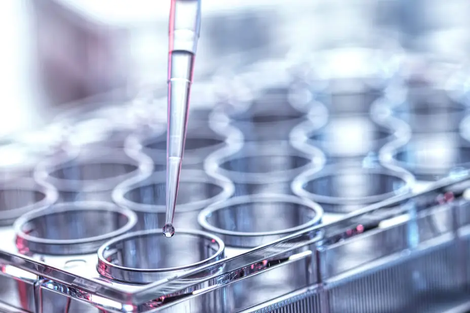 Pharmacy research concept - showing someone pipetting into a multi-well plate in a laboratory