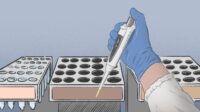 Illustration of a hand carrying out genetic testing in a laboratory