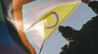 LGTBQ+ flag