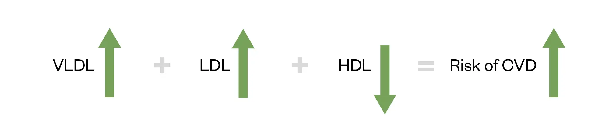 Simple formula showing VLDL going up, plus LDL going up, plus HDL going down, equals a higher risk of CVD.