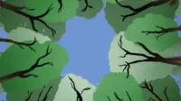 Illustration of looking up through trees to a blue sky