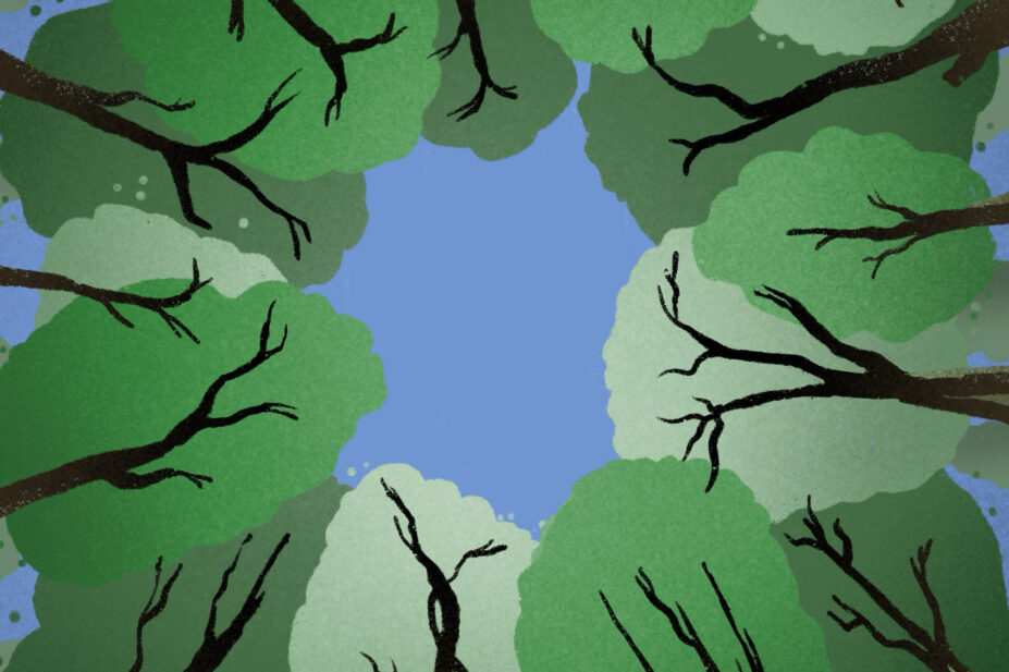 Illustration of looking up through trees to a blue sky