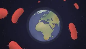 Illustration of a world globe in a barrier, with microbes floating around it