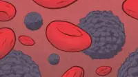 Illustration of blood cells