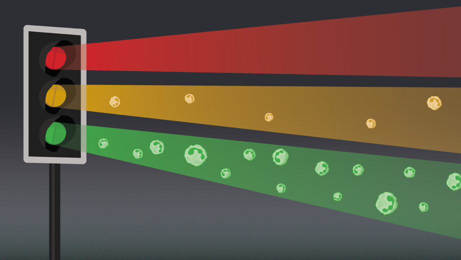 Traffic light shines red, amber and green. In the green light shines many neutrophils, fewer in the yellow and none in the red light
