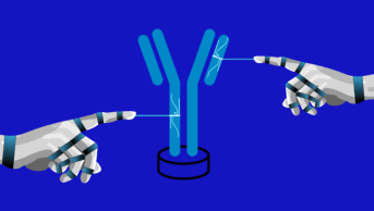Robot arms create an antibody