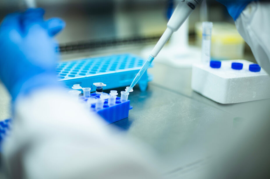 Scientists examine cell cultures