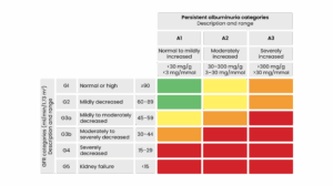 Chronic kidney disease: impacts, challenges and pathways to improvement ...