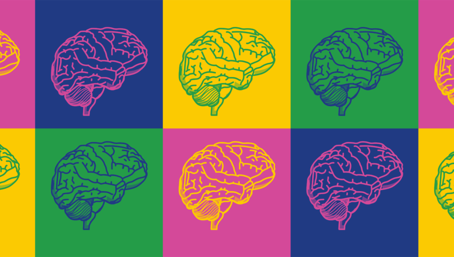 Blocks of colour, pink navy green and yellow with outlines of brains inside