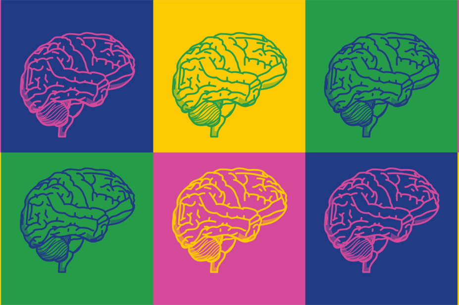 Blocks of colour, pink navy green and yellow with outlines of brains inside