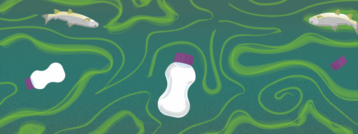 An oral supplement bottle floats in water, eutrophication is shown in algae green blooms, lids and other bottles float nearby and dead fish