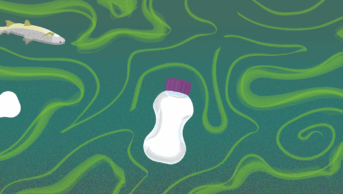 An oral supplement bottle floats in water, eutrophication is shown in algae green blooms, lids and other bottles float nearby and dead fish