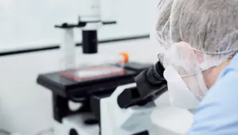 Research in a scientific laboratory