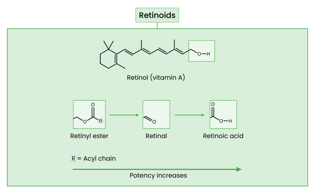 Figure showing key chemical structures of retinoids, and potency differences