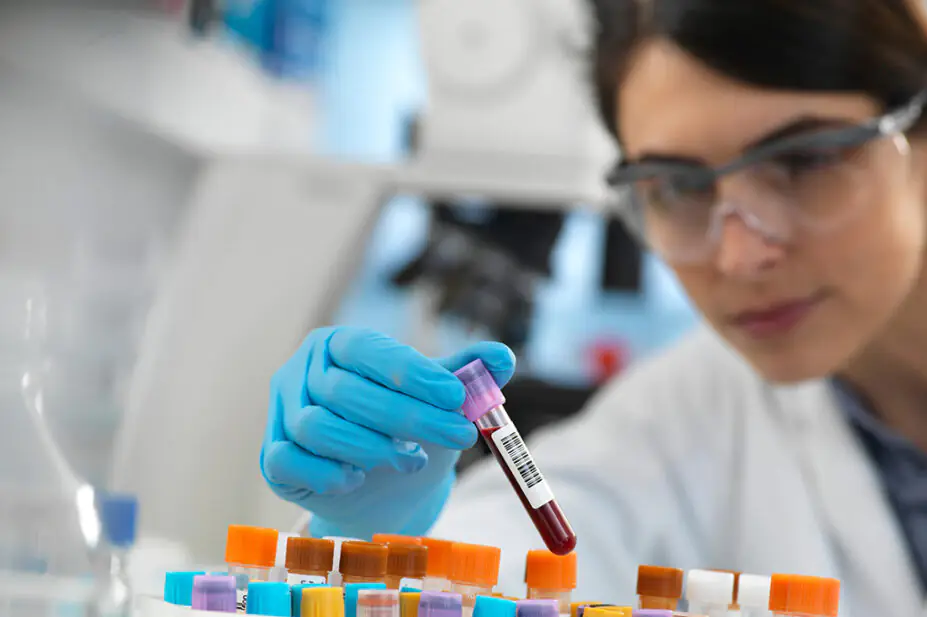 A scientist examines a patient's blood during a clinical trial