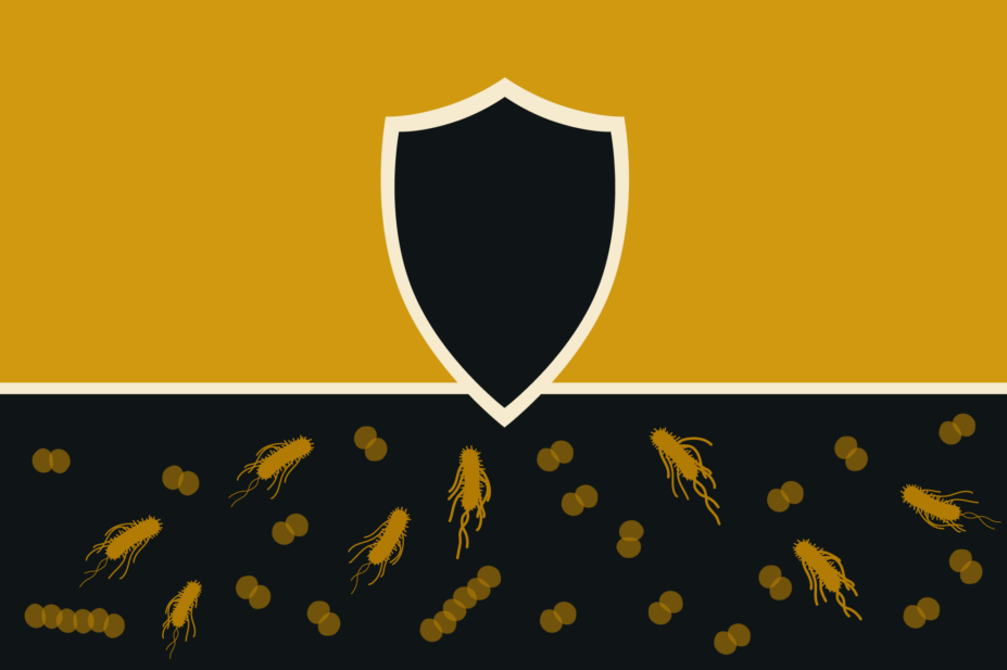 Yellow background, black shield holding back bacteria, in round shape and elongated with pilae and flagella
