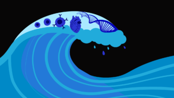 Black background with big wave, CAR T cells, heart and DNA helix