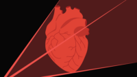 Dark background with heart, lines from the left surround and extend from heart