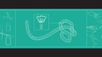 Blueprint style image of Ebola, showing cross section of the virus, antibodies and vaccines, bat silhouettes and map of the world