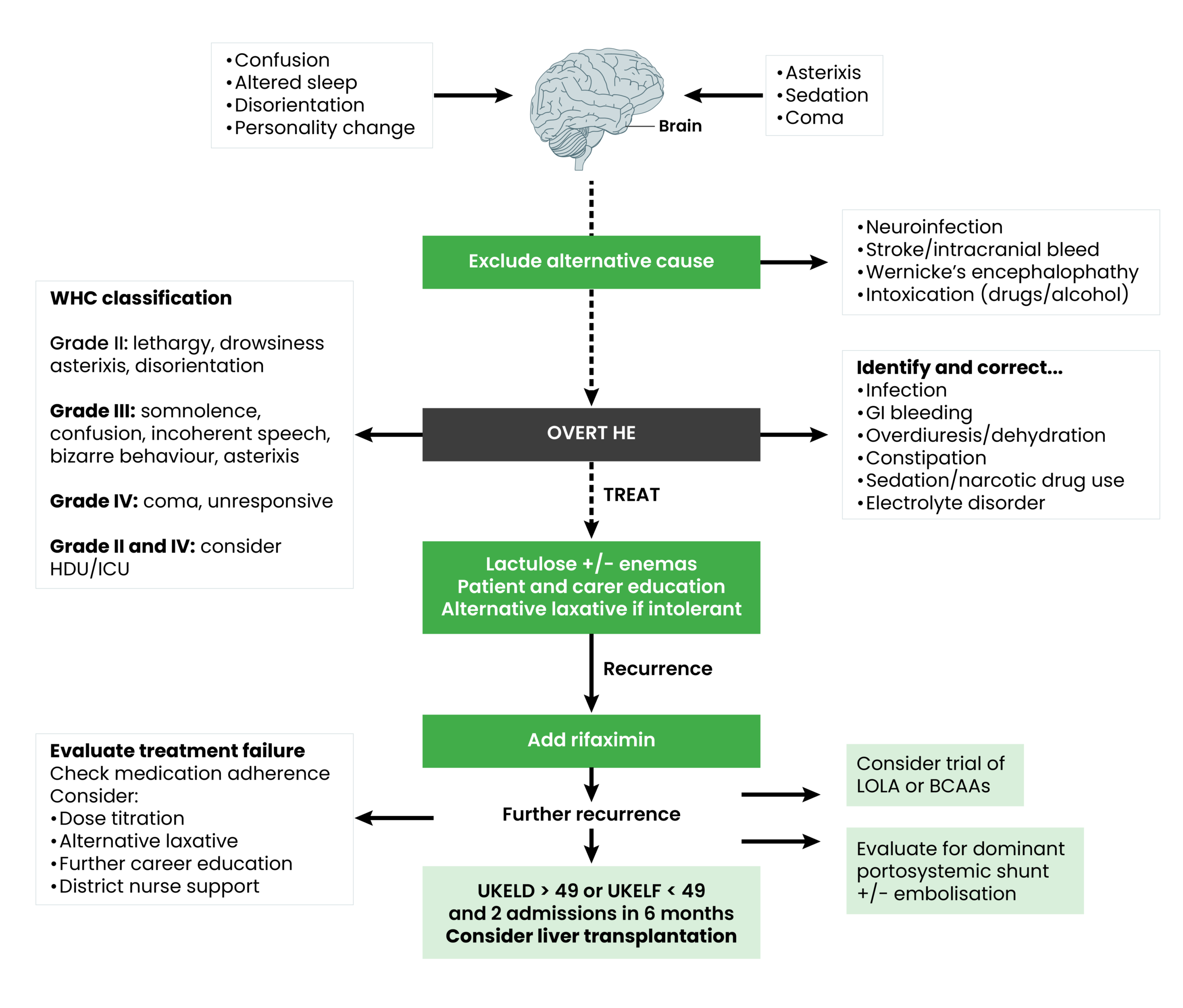 Flow diagram from the BSG, outlining the treatment steps for a patient presenting with overt HE symptoms