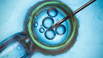 Blue background, IVF injection into egg concept. Text reading 