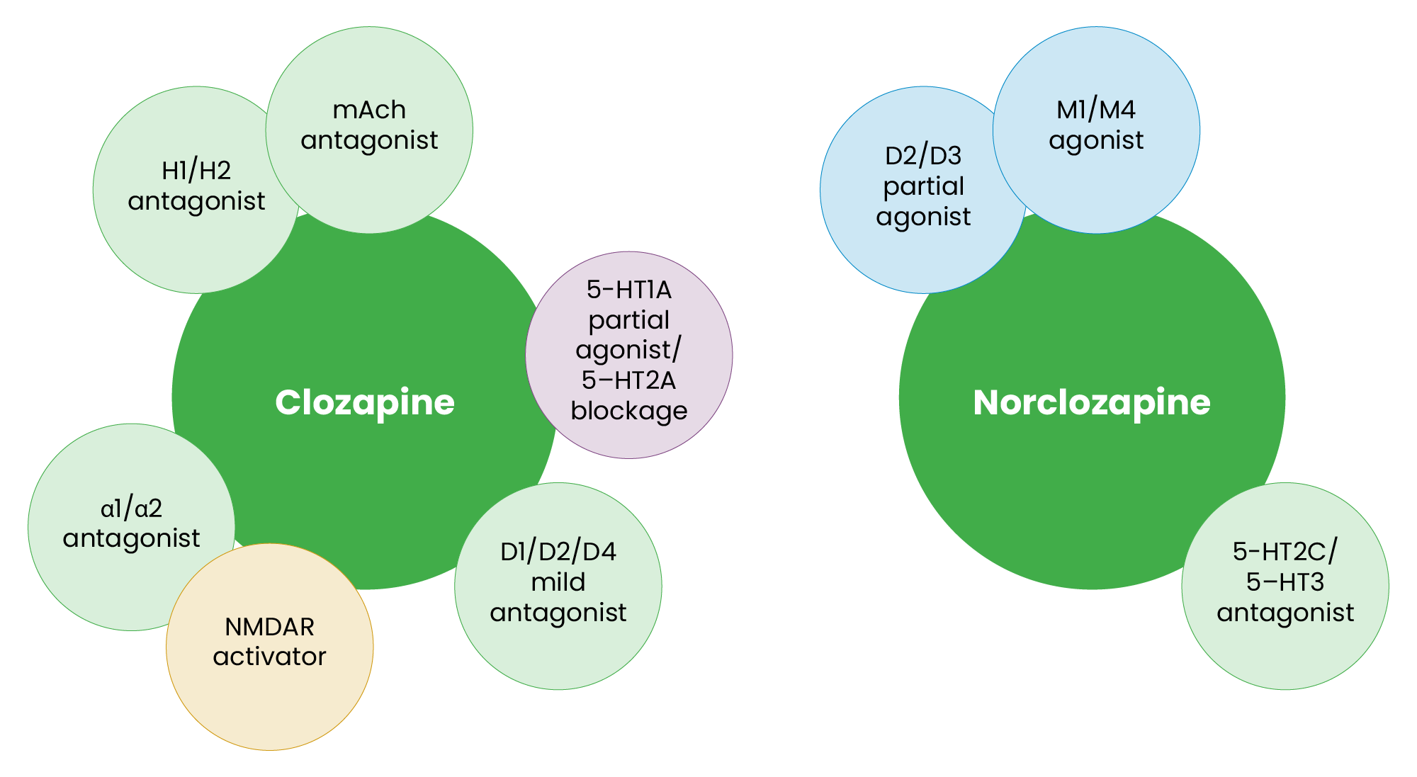 Clozapine’s and norclozapine’s pharmacological profile. 2 dark green bubbles surrounded by smaller bubbles, one for Clozapine and norclozapine. In Clozapine: H1/H2
antagonist, α1/α2
antagonist, NMDAR
activator, D1/D2/D4
mild antagonist, 5-HT1Apartialagonist/5–HT2A
blockage, mAch
antagonist and in norclozapine: D2/D3
partialagonist, 5-HT2C/5–HT3
antagonist, M1/M4
agonist.