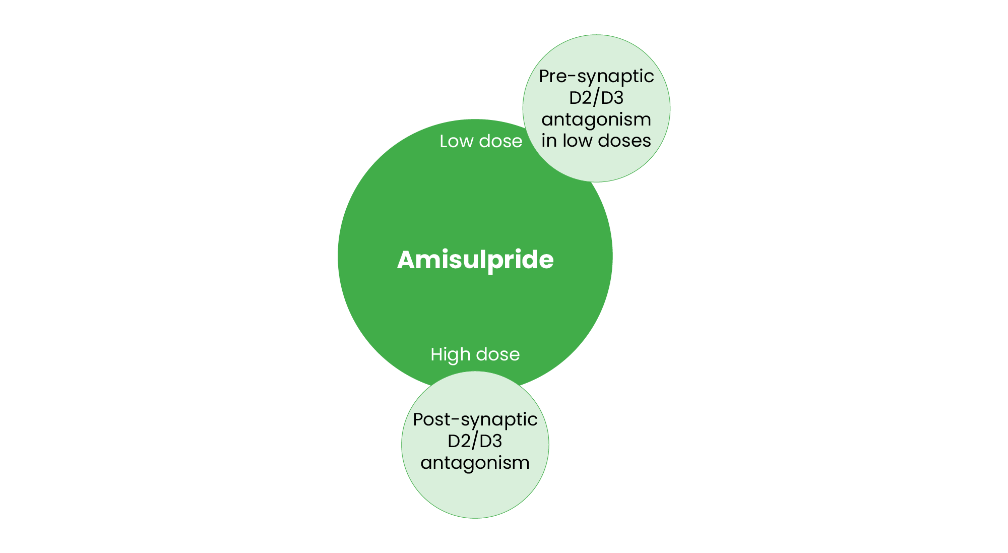 Amisulpride’s pharmacological profile shown in green bubble with smaller bubbles surround showing: Pre-synapticD2/D3
antagonism
in low doses and Post-synapticD2/D3
antagonism in high doses