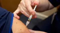 A person receives a vaccination from a healthcare professional