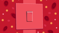 Switch shown in light red surrounded by blood with red blood cells and glucose
