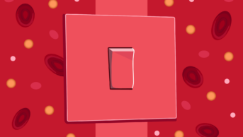 Switch shown in light red surrounded by blood with red blood cells and glucose