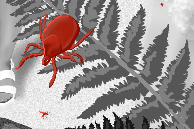 Black and white scene showing edge of one leg and foot with a sandal, a large tick here in red and mosquito is visible flying