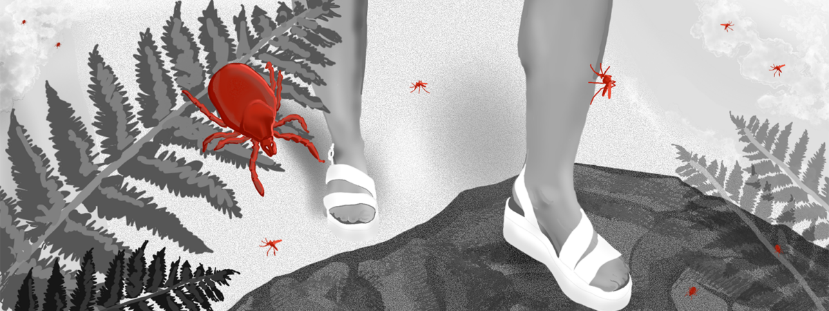 A scene in Dartmoor, a person is stepping from scorched grass onto a rock surrounded by ferns, everything is in black and white apart from the ticks and mosquitos which are in red