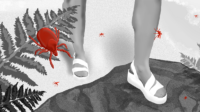 A scene in Dartmoor, a person is stepping from scorched grass onto a rock surrounded by ferns, everything is in black and white apart from the ticks and mosquitos which are in red